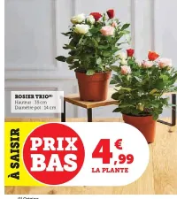 Hyper U Rosier trio Offres et Promotions