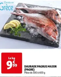 Auchan Hypermarché Daurade Pagrus Major (Pagre) Offres et Promotions