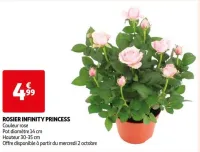 Auchan Hypermarché Rosier Infinity Princess Offres et Promotions