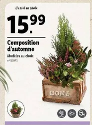 Lidl Composition d'automne Offres et Promotions