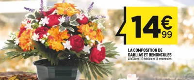 Centrakor LA COMPOSITION DE DAHLIAS ET RENONCULES Offres et Promotions