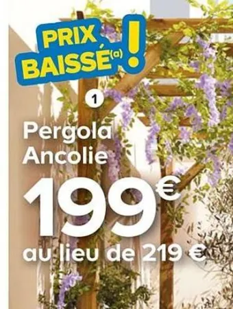 Castorama Ancolie pergola Offres et Promotions