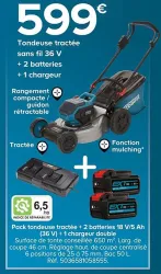 Castorama Pack tondeuse tractée + 2 batteries 18 V/5 Ah (36 V) +1 chargeur double Offres et Promotions