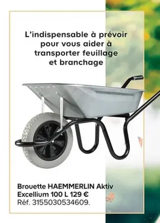 Castorama Brouette HAEMMERLIN Aktiv Excellium 100 L Offres et Promotions