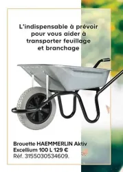 Castorama Brouette HAEMMERLIN Aktiv Excellium 100 L Offres et Promotions