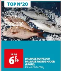 Auchan Hypermarché Daurade Royale Ou Daurade Pagrus Major (Pagre) Offres et Promotions