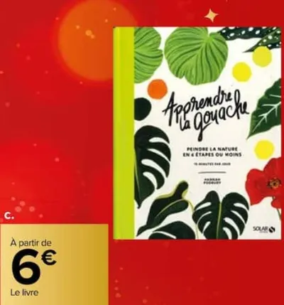 Carrefour Foires aux Livres noël et Beaux Livres Offres et Promotions