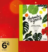 Carrefour Foires aux Livres noël et Beaux Livres Offres et Promotions