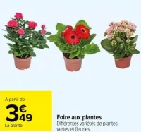 Carrefour Foire aux plantes Offres et Promotions