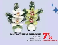 U Express Composition de cymbidium 35 cm Offres et Promotions