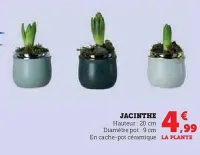 U Express Jacinthe Offres et Promotions