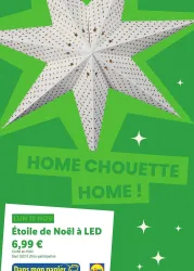 Lidl Étoile de noël à led Offres et Promotions