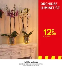 Carrefour Orchidée lumineuse Offres et Promotions