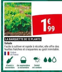 Gamm vert Salade Offres et Promotions