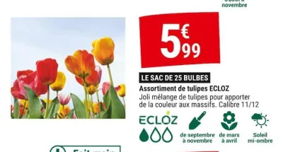 Gamm vert Assortiment de tulipes ECLOZ Offres et Promotions