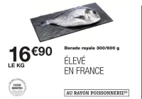 Monoprix Dorade royale 300/600 g Offres et Promotions